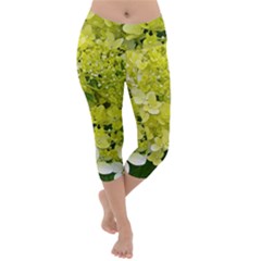 Elegant Chartreuse Green Limelight Hydrangea Macro Lightweight Velour Capri Yoga Leggings by myrubiogarden