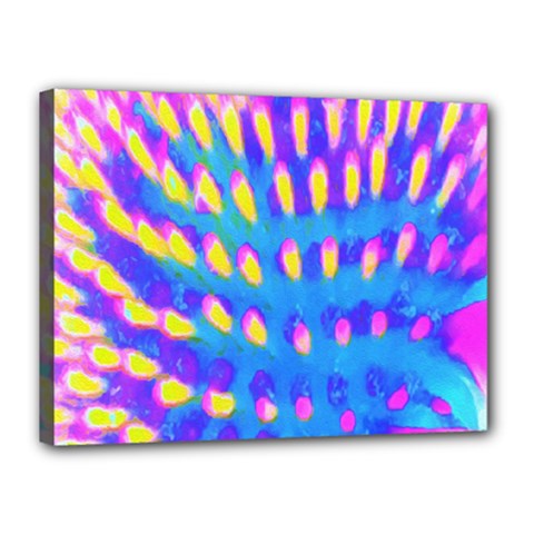 Pink, Blue And Yellow Abstract Coneflower Canvas 16  X 12  (stretched) by myrubiogarden