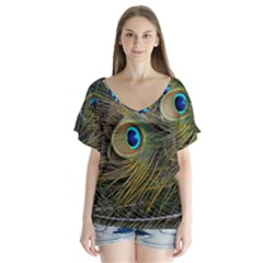 Peacock Tail Feathers Close Up V-neck Flutter Sleeve Top by Pakrebo