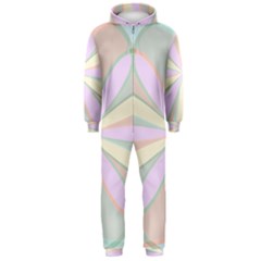 Flower Stained Glass Window Symmetry Hooded Jumpsuit (men) 