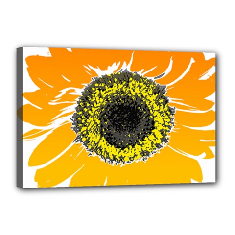 Sunflower Flower Yellow Orange Canvas 18  X 12  (stretched) by Mariart