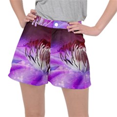 Clematis Structure Close Up Blossom Stretch Ripstop Shorts by Pakrebo