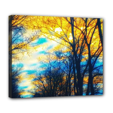 Yellow And Blue Forest Deluxe Canvas 24  X 20  (stretched) by okhismakingart