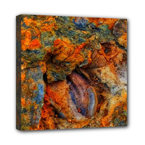 Rainbow Fossil Mini Canvas 8  X 8  (stretched) by okhismakingart