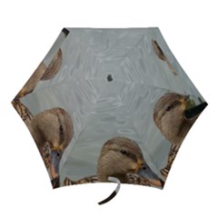 Framed Ducks Mini Folding Umbrellas