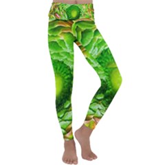 Ranunculus Blossom Bloom Nature Kids  Lightweight Velour Classic Yoga Leggings by Pakrebo