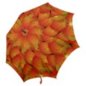 Pattern Texture Leaf Hook Handle Umbrellas (Large) View2