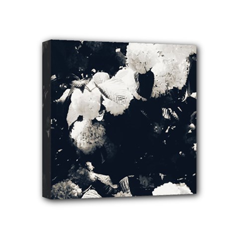 High Contrast Black And White Snowballs Ii Mini Canvas 4  X 4  (stretched)
