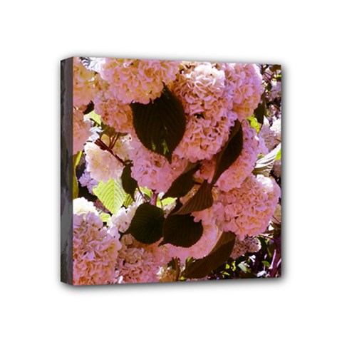 Pink Snowballs Mini Canvas 4  X 4  (stretched)