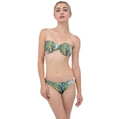 Peafowl Peacock Feather Beautiful Classic Bandeau Bikini Set by Sudhe