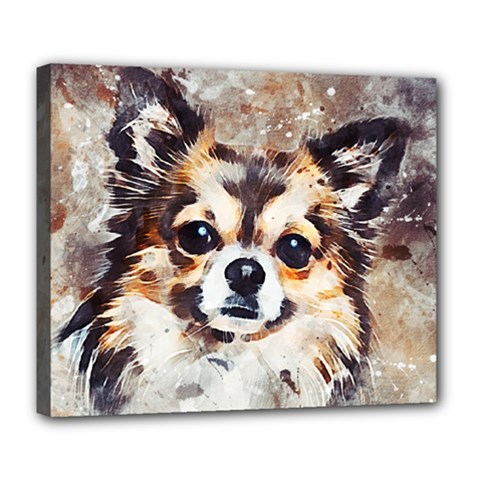 Chihuahua Dog Cute Pets Small Deluxe Canvas 24  X 20  (stretched)