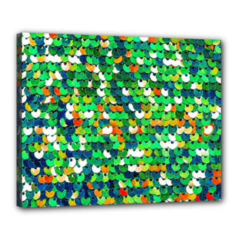 Funky Sequins Canvas 20  X 16  (stretched) by essentialimage
