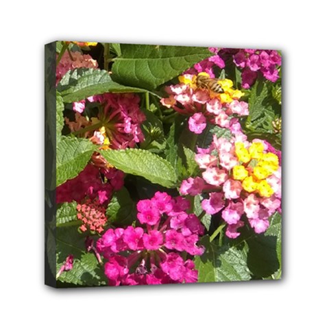 Summer Lantana W Bee Mini Canvas 6  X 6  (stretched) by Riverwoman