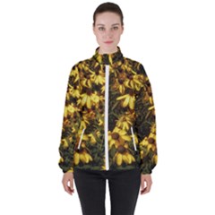Echinacea Paradoxa Women s High Neck Windbreaker by Riverwoman