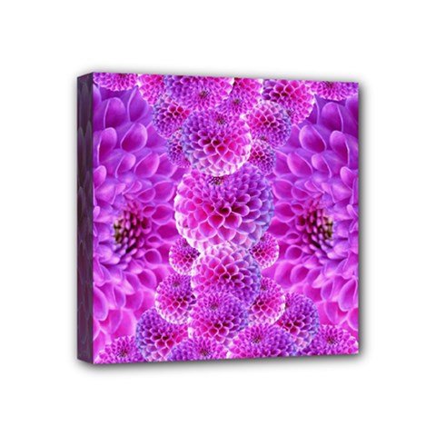 Nature Blossom Plant Flower Purple Petal Bloom Pattern Pollen Pink Flora Flowers Dahlia Design Beaut Mini Canvas 4  X 4  (stretched) by Vaneshart
