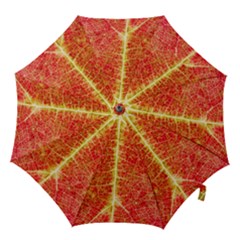 Plant Vineyard Wine Sunlight Texture Leaf Pattern Green Red Color Macro Autumn Circle Vein Sunny  Hook Handle Umbrellas (medium) by Vaneshart