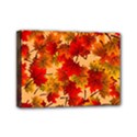 Wallpaper Background Autumn Fall Mini Canvas 7  x 5  (Stretched) View1