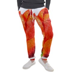 Spring Tulip Red Watercolor Aquarel Men s Jogger Sweatpants by picsaspassion