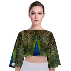 Peacock Feathers Bird Nature Tie Back Butterfly Sleeve Chiffon Top by Vaneshart