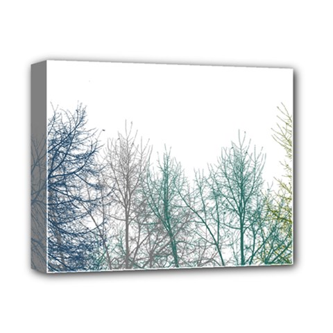 Multicolor Graphic Botanical Print Deluxe Canvas 14  X 11  (stretched) by dflcprintsclothing