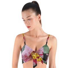 Striped Pink Camellia Ii Woven Tie Front Bralet by okhismakingart