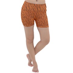 Animal Skin - Lion And Orange Skinnes Animals - Savannah And Africa Lightweight Velour Yoga Shorts by DinzDas