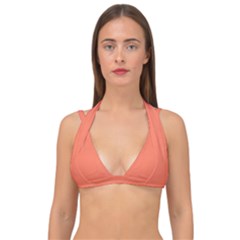 Appreciating Apricot Double Strap Halter Bikini Top by Janetaudreywilson