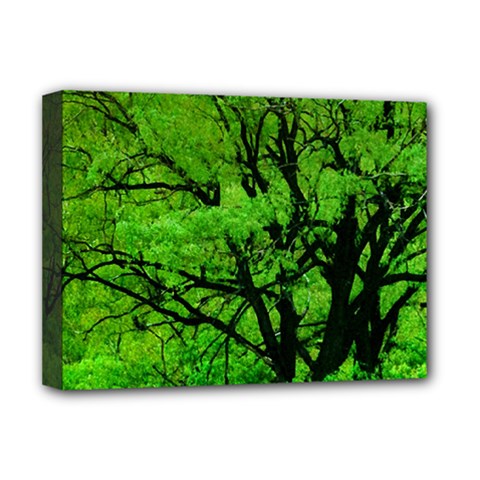 Big Trees, El Leoncito National Park, San Juan, Argentina Deluxe Canvas 16  X 12  (stretched)  by dflcprintsclothing