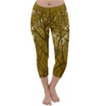 Forest Landscape Illustration 2 Capri Winter Leggings 