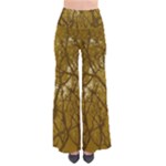 Forest Landscape Illustration 2 So Vintage Palazzo Pants