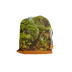 Carob Tree, Talampaya National Park, La Rioja, Argentina Drawstring Pouch (medium) by dflcprintsclothing