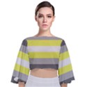 Deminonbinary Pride Flag LGBTQ Tie Back Butterfly Sleeve Chiffon Top View1