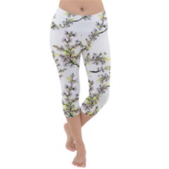 Spring Lightweight Velour Capri Yoga Leggings by goljakoff