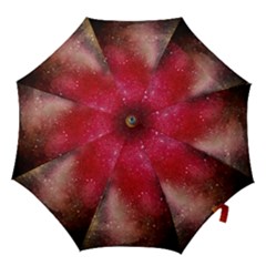 Red And Yellow Drops Hook Handle Umbrellas (large) by goljakoff