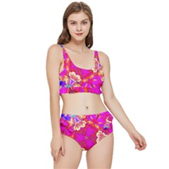 Newdesign Frilly Bikini Set by LW41021