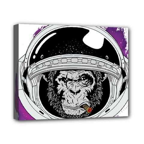 Spacemonkey Canvas 10  X 8  (stretched) by goljakoff