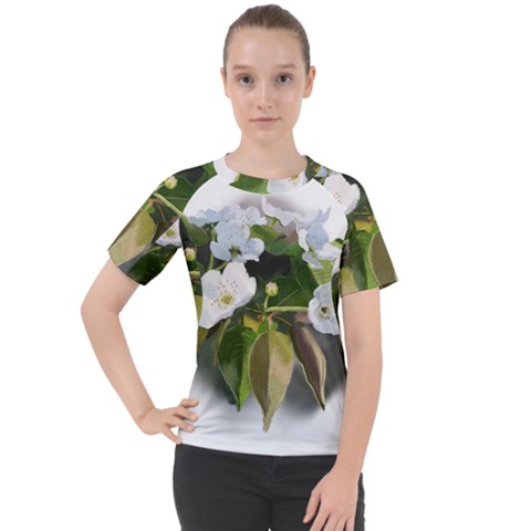F69ccc07-4684-4c4d-951f-7f1801ec955e Women s Sport Raglan Tee by SychEva