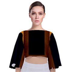 Gradient Tie Back Butterfly Sleeve Chiffon Top by Sparkle