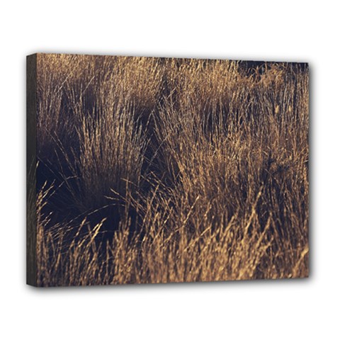 Field Of Light Pattern 1 Canvas 14  X 11  (stretched) by DimitriosArt