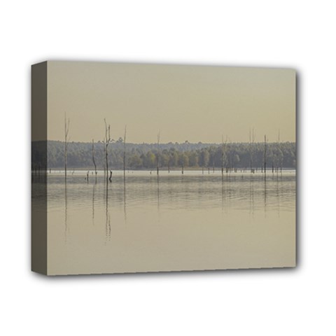 Grande Stream Landscape, Flores-soriano, Uruguay Deluxe Canvas 14  X 11  (stretched) by dflcprintsclothing