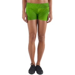 Banana Leaf Yoga Shorts