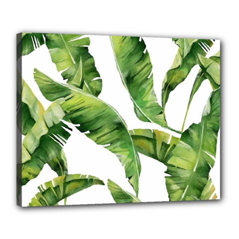Sheets Tropical Plant Palm Summer Exotic Canvas 20  X 16  (stretched)