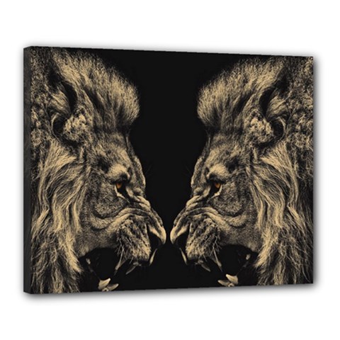 Animalsangry Male Lions Conflict Canvas 20  X 16  (stretched)
