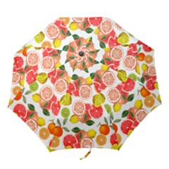 Citrus Fruit Seamless Pattern Folding Umbrellas