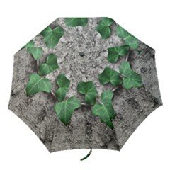 Vine On Damaged Wall Photo Folding Umbrellas by dflcprintsclothing