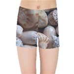 Beautiful Seashells  Kids  Sports Shorts