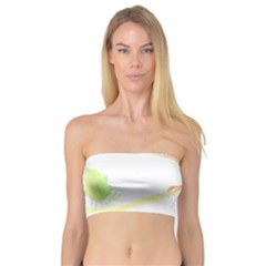 Bird Lover T- Shirtbird T- Shirt (12) Bandeau Top