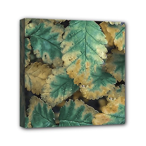 Colored Close Up Plants Leaves Pattern Mini Canvas 6  X 6  (stretched) by dflcprintsclothing
