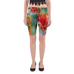 Gathering Sping Flowers Wallpapers Yoga Cropped Leggings by artworkshop