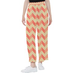 Modern Retro Chevron Patchwork Pattern Women s Pants  by GardenOfOphir